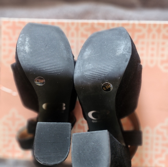 Giant Bini - Picture 5 of 6